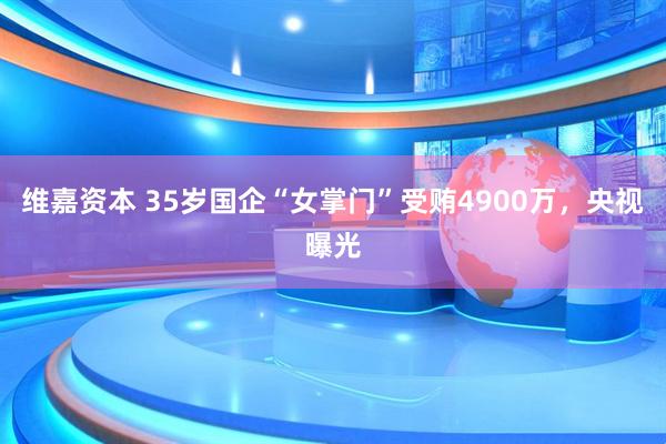 维嘉资本 35岁国企“女掌门”受贿4900万，央视曝光