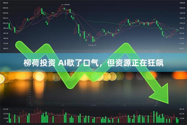 柳荷投资 AI歇了口气，但资源正在狂飙