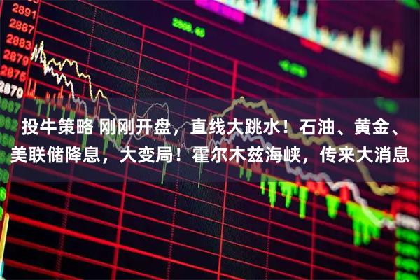 投牛策略 刚刚开盘，直线大跳水！石油、黄金、美联储降息，大变局！霍尔木兹海峡，传来大消息