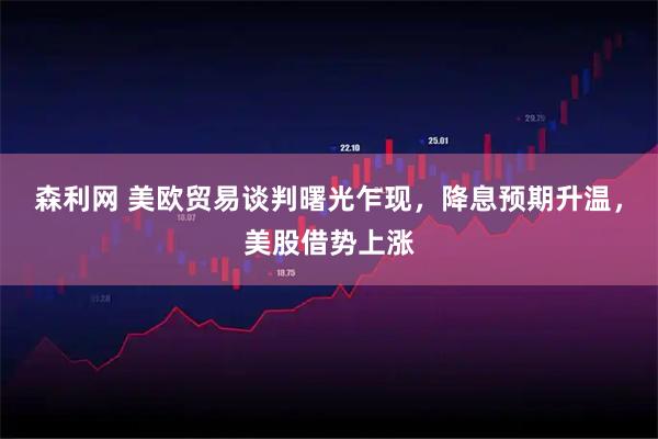 森利网 美欧贸易谈判曙光乍现，降息预期升温，美股借势上涨